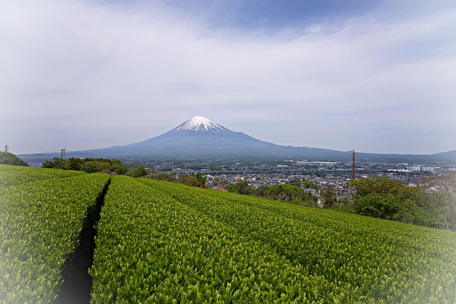 静岡の短期バイトおすすめ一覧｜高時給・即日OKの仕事から季節限定求人まで紹介